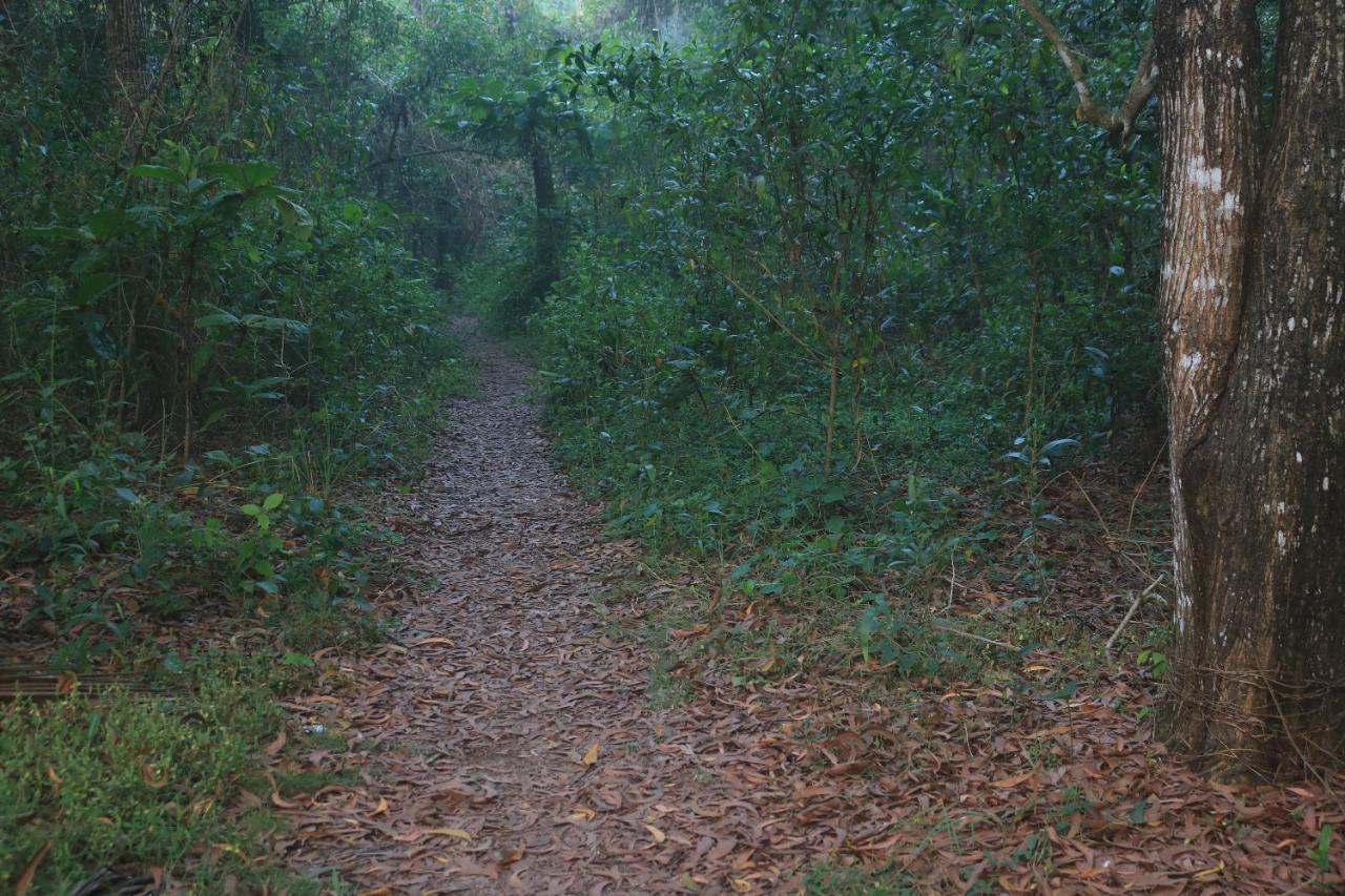 Arakkal Heritage Mararikulam Esterno foto